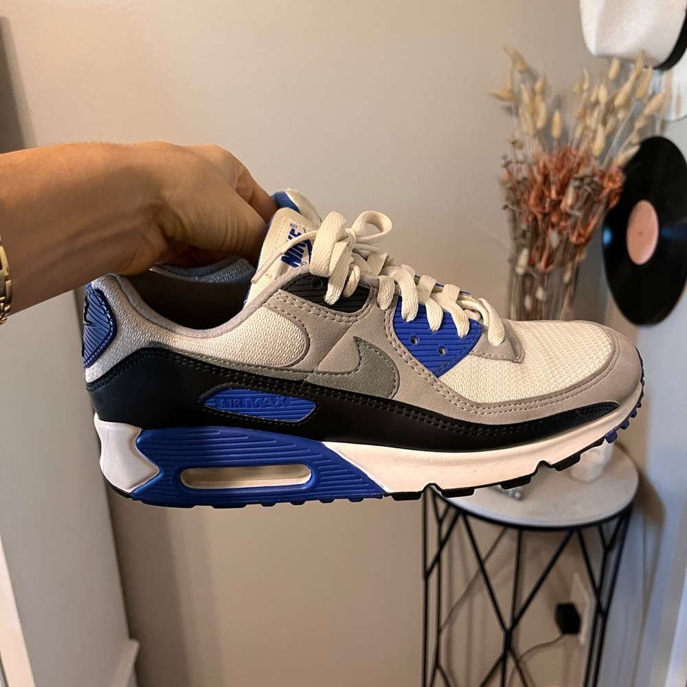 Nike Air Max shoe
